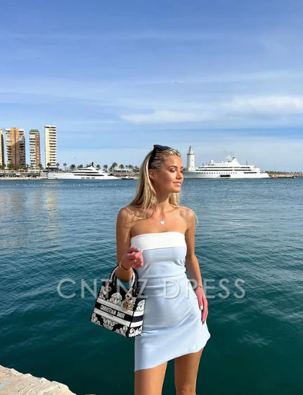 Wholesa Beach Sleeveless Strapless Tube Bodycon Homecoming Dress formal dresses Bridesmaid Dresses evening gown Prom Dress