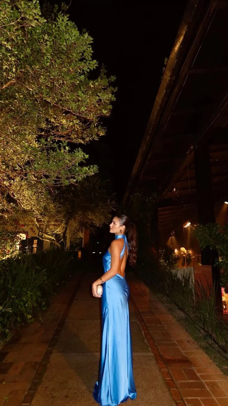 Elegant Column Halter Neck Sleeveless Open Back Floor Length Evening Dress