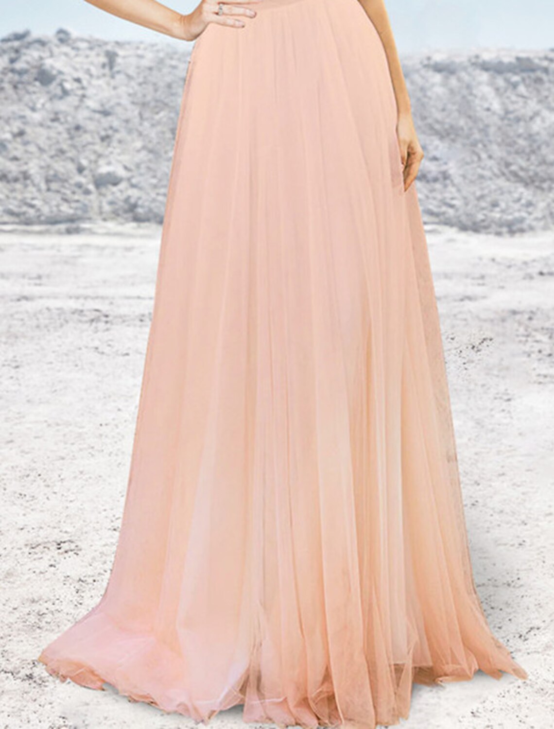 Wholesa A-Line Evening Gown Elegant Dress Formal Wedding Party Sweep / Brush Train Sleeveless Strapless Tulle with Pleats