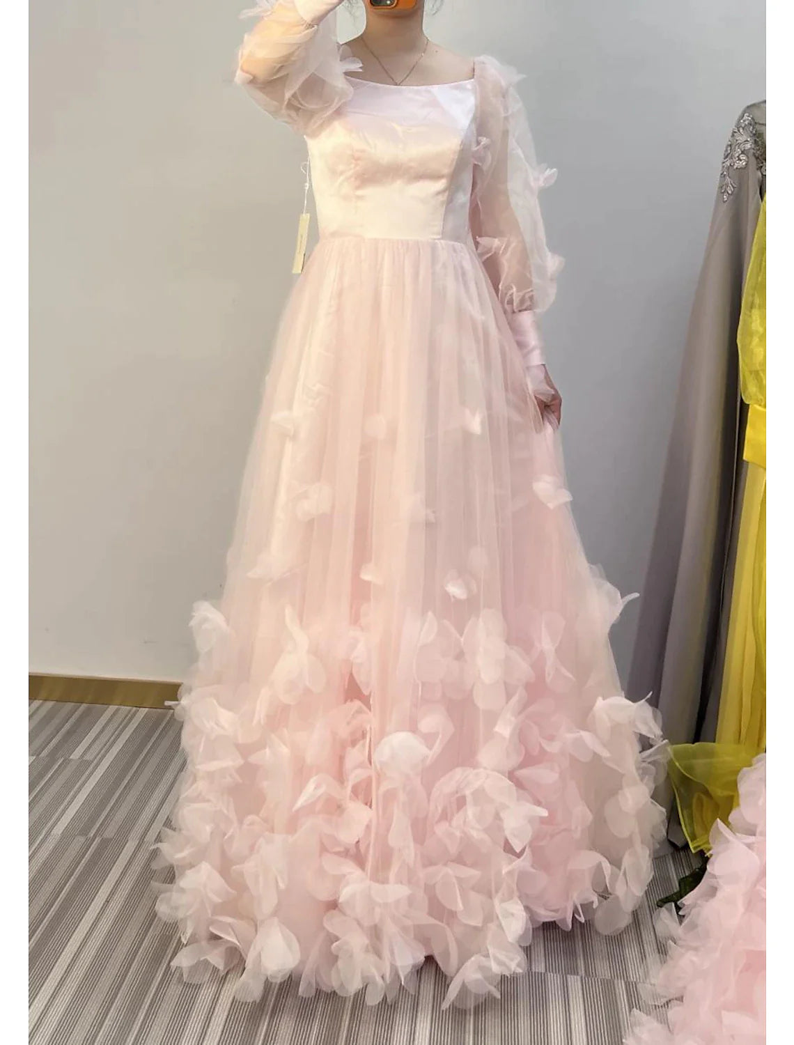 Wholesa A-Line Prom Dresses Maxi Dress Sweet 16 Birthday Floor Length Long Sleeve Scoop Neck Tulle with Appliques Butterfly